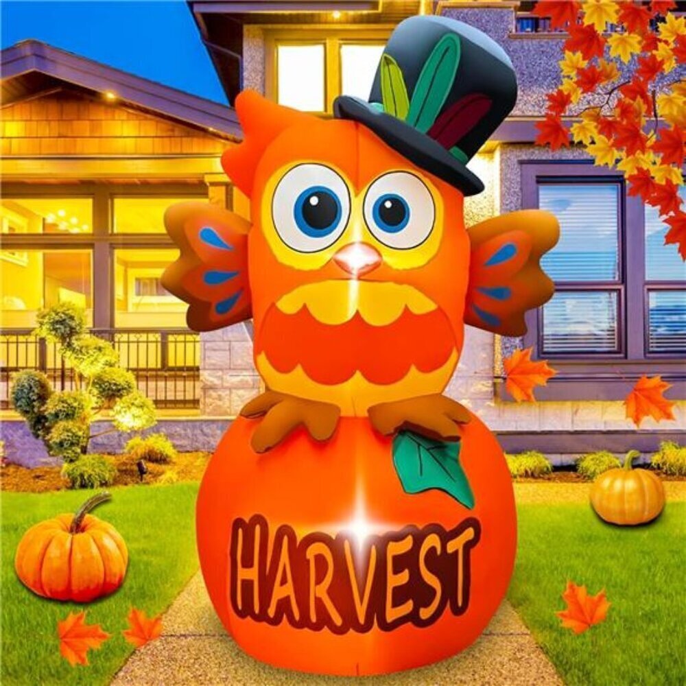 6 FT Thanksgiving Inflatables Owl on Pumpkin, LED Light Fall Inflatables